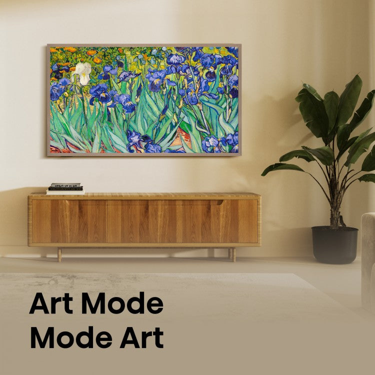 Téléviseur Hisense 55'' CANVAS TV  4K  QLED Intelligent Google TV (55S7N)