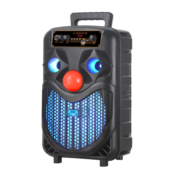 Altavoz de fiesta de graves extra de 8" (NDR-P66)